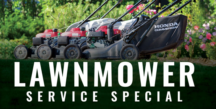 Lawnmower Service Special Lawnmower Service Special